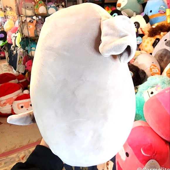 SHAUN 🐶 Gray Schnauzer Original Squishmallow by Kelly Toy ☆》NWT《☆ - Picture 4 of 8